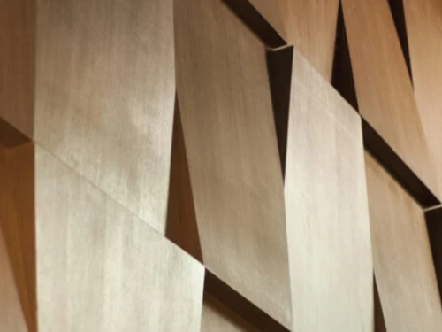 DGA-regeling toepassen voor de werknemersverzekeringen: let op...